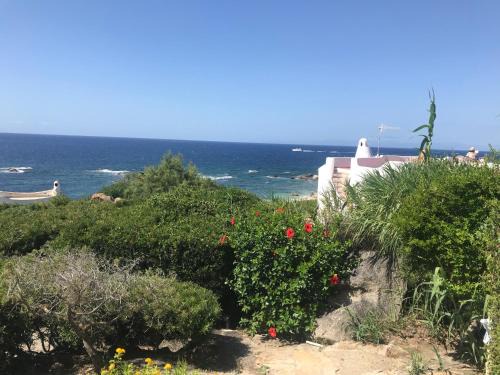 San Stefano House | Villa Satta
