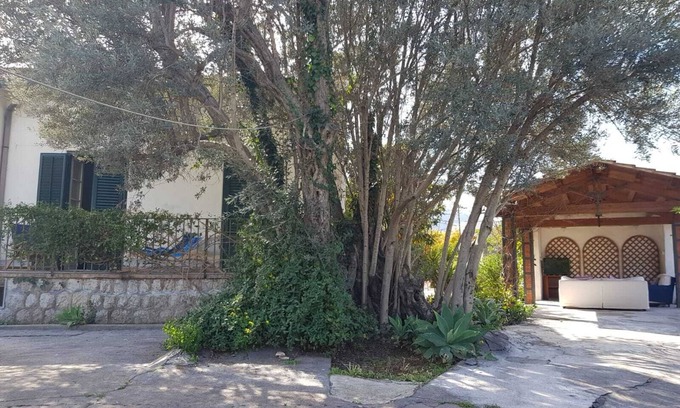 Mondello Villa | Villa Serrano.