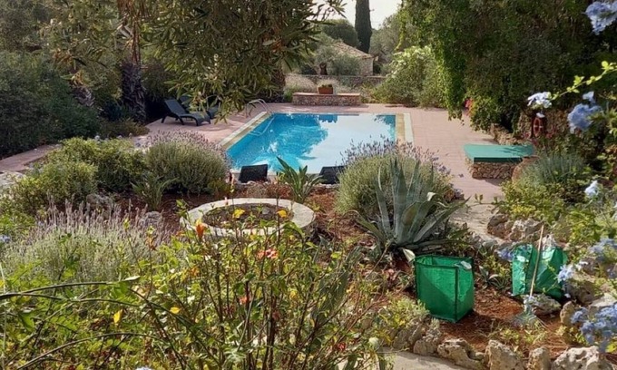 Korithi Villa | Villa set within private courtyard surrounded by mature olive trees