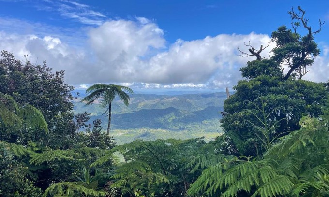 Korolevu House | Village Stay Fiji at Navai Village Fiji