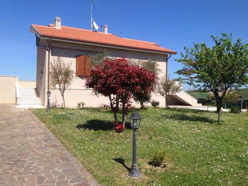 Tavullia House | Villetta le Rose