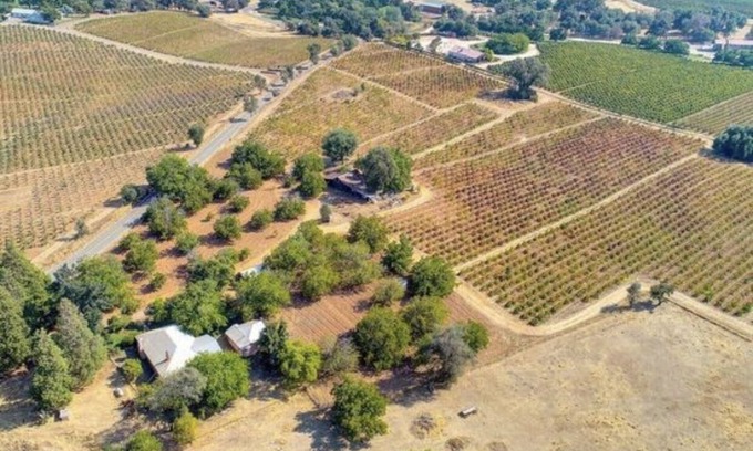 Shenandoah Valley Other | Vintage Farmhouse on 50 acres surrounded by vineyards - Farmhouse experience