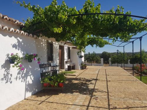 Alcaracejos House | Vivienda Turistica de Alojamiento Rural El Jaral