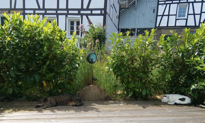 Numbrecht Apartment | Vrbo Property