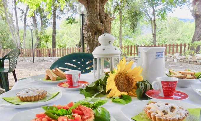 Gioi Bed & Breakfast | Vrbo Property