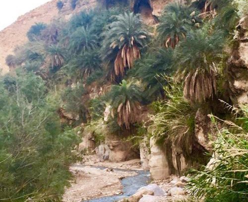 Ma'an Governorate Other | Wadi Bin Hammad Five Stars