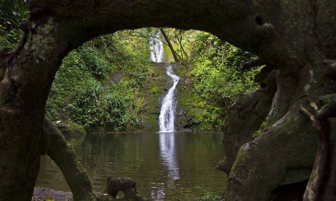 Honokaa House | Waipio Botanical Gardens in the heart of Waipio with waterfall & beach access!
