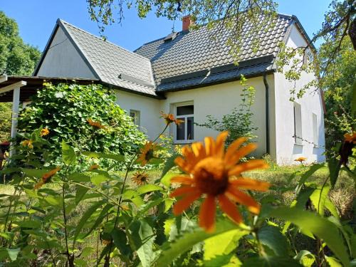 Walne House | Wakacje Wigry
