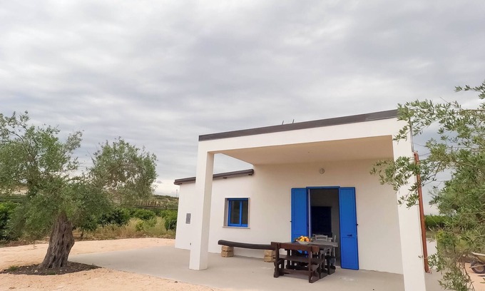 Ribera House | Waning Moon - Among the Citrus Trees in Ribera