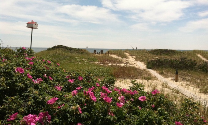 North Truro Cottage | WATERFRONT COTTAGE WITH PRIVATE BEACH! On Beach Point in Truro. Not a condo.