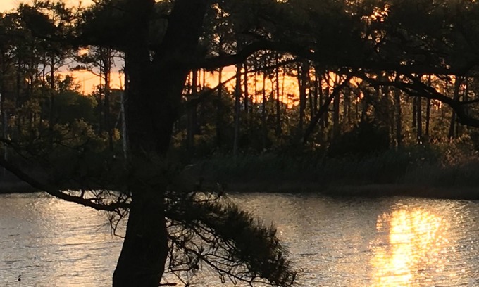 Fox Hill - Grandview House | Waterfront Hideaway PRIVATE 3rd flr guestsuite PRIVATE DECK Nature Preserve View