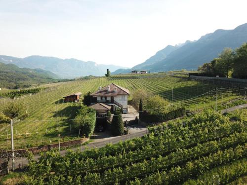 Pianizza Di Sopra Apartment | Weingut Hochleiten
