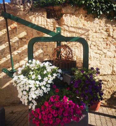 Eisenstadt Bed & Breakfast | Weingut Lichtscheidl