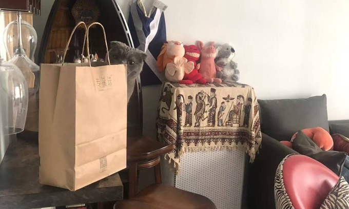 Changning Apartment | Welcoming 1-bedroom apartment in Shanghai with WiFi