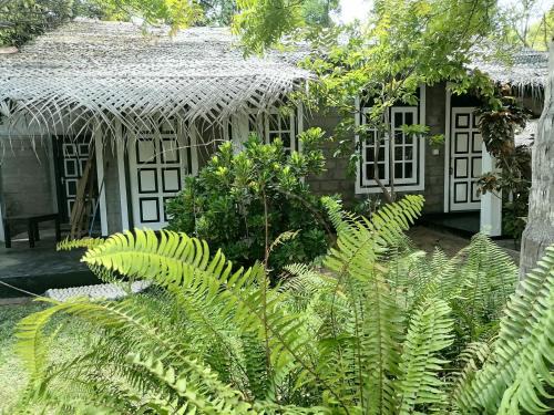 Kandakuliya Bed & Breakfast | Werala Beach Resort
