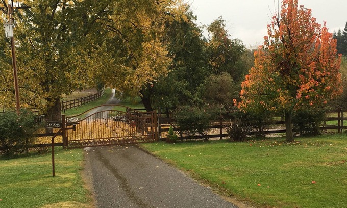 Newcastle House | Whirlawind Horse Ranch We are pet friendly!