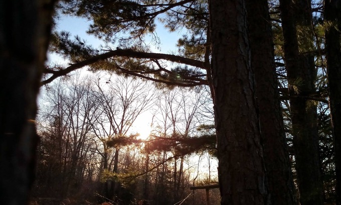 Hartville House | Whispering Pines in the Country on 40 Acres