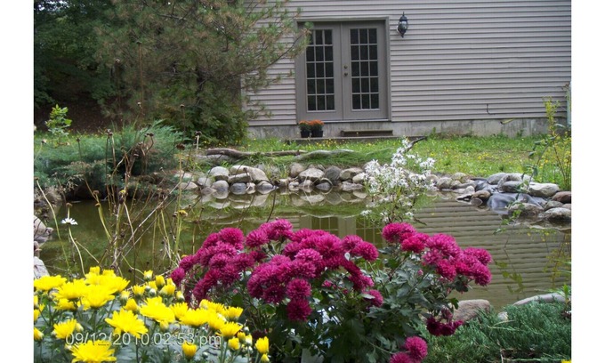 Bethlehem Cottage | White Mountain Retreat - Family/Pet Friendly- Year Round : Ski areas Close by!