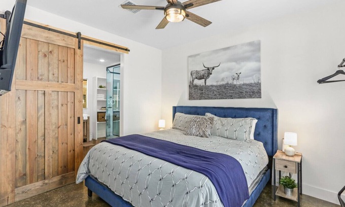 Fredericksburg House | Wine Escape~Pets~Games~Cornhole~Firepit~Longhorns