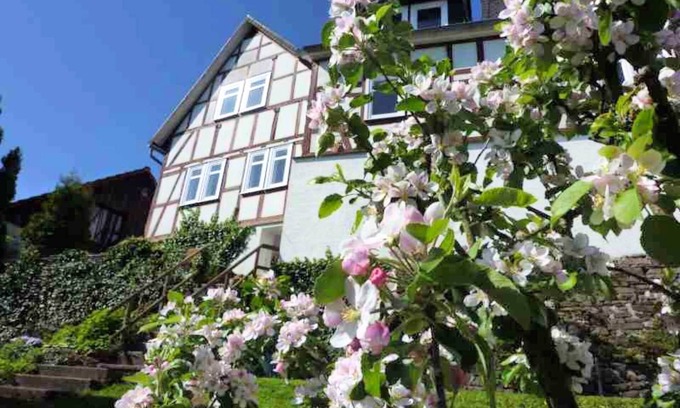 Battenberg Apartment | Wohnung in der Nähe des Skigebietes Battenberg