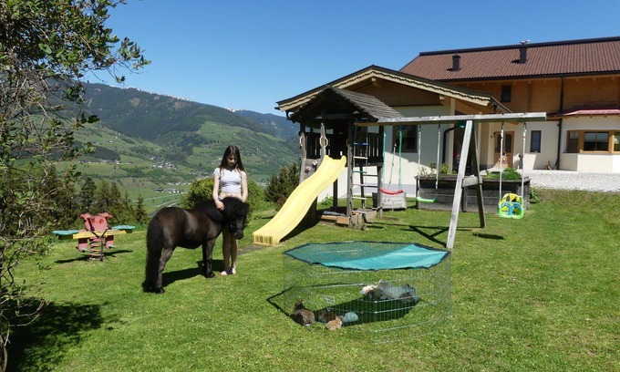 Niedernsill Villa | Wonderful private villa for 24 people with WIFI, TV, terrace, pets allowed and parking