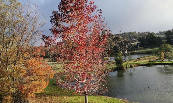 Balingup Ski Chalet | Woodlands of Balingup Bush Cottages -Flora & Fauna focused