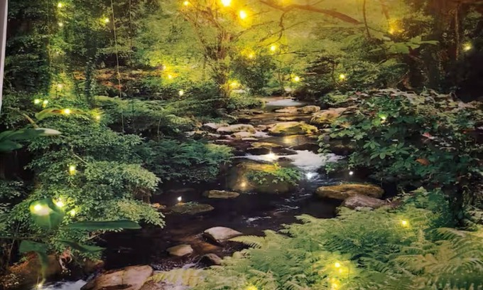 Jamestown Apartment | Yogi's Nature Stay 2 beds spa shower Chautauqua Lake, Jamestown