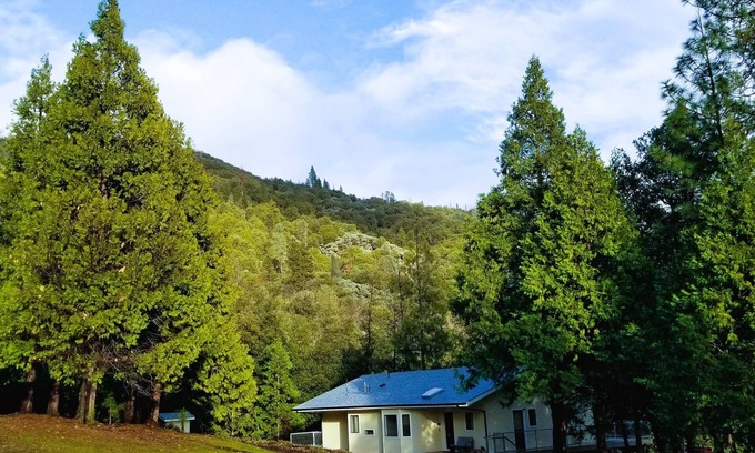 Mariposa House | Yosemite Getaway | Starlink + Forest Views