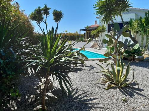 Santana Villa | Yuccas House