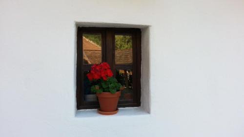 Telkibanya House | Zempléni Pitvaros Pihenő