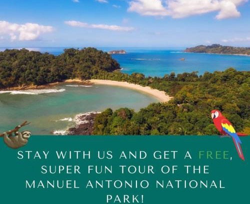 Manuel Antonio Bed & Breakfast | Zen Zaru Free MA park tour & breakfast