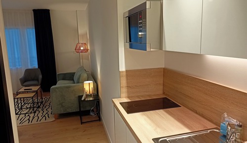 Executive Studio, Terrace (4 People)
