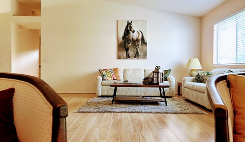 Elite Room