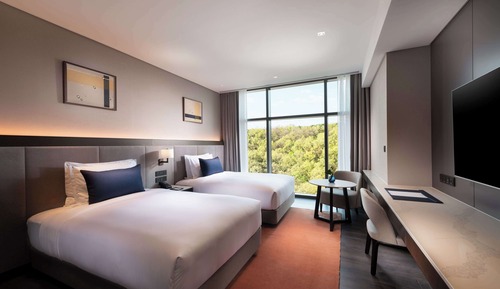 Executive Room, 2 Twin Beds
