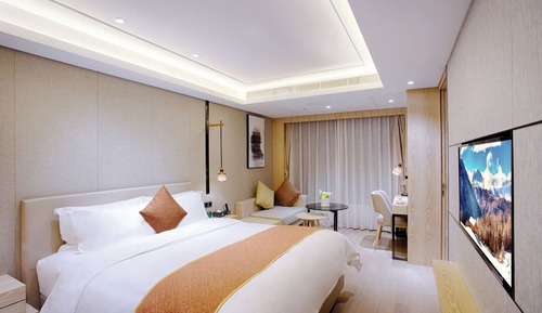Superior Single Room