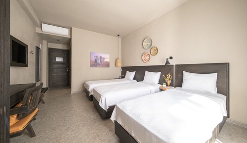 Basic Triple Room