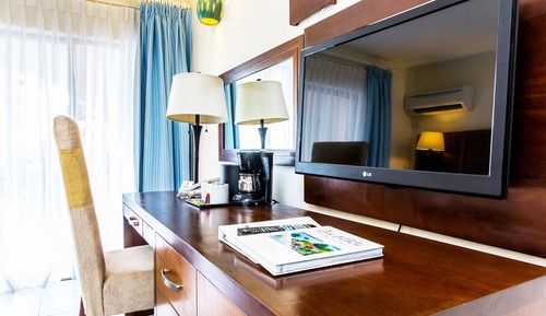 Promo Room, 1 Queen Bed (Run of House)