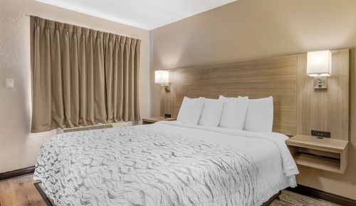 Superior Room, 1 King Bed, Non Smoking