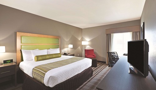 Room, 1 King Bed