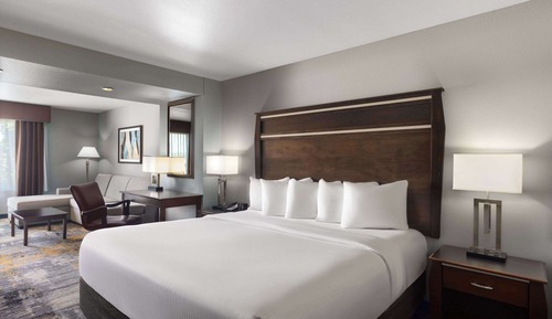Deluxe Suite, 1 King Bed, Non Smoking, City View