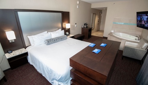 Deluxe Mini Suite