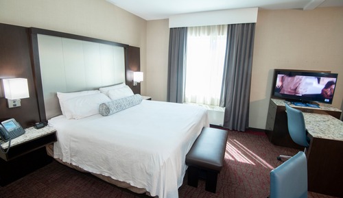 Open Bay Suite