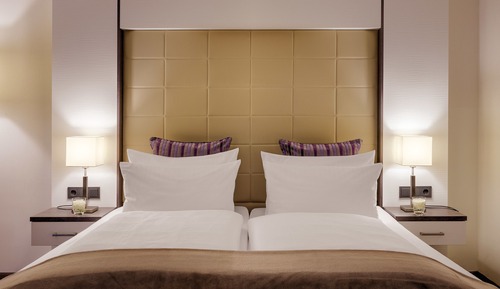 Deluxe Double Room (country side)