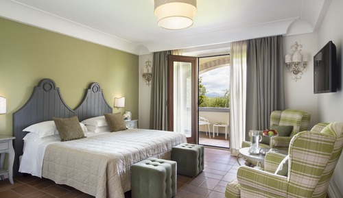 Suite, 1 King Bed, Vineyard View