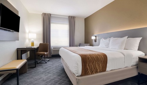 Standard Room, 1 King Bed, Non Smoking