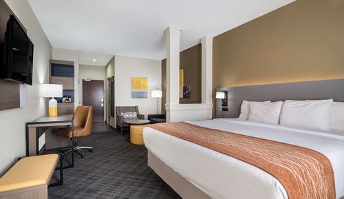 Suite, 1 King Bed with Sofa bed, Accessible, Non Smoking