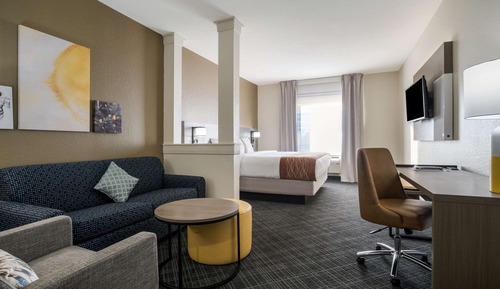 Suite, 1 King Bed with Sofa bed, Non Smoking