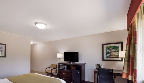 Standard Room, 1 Queen Bed, Accessible, Non Smoking