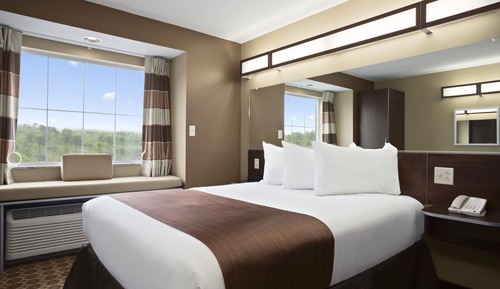 Suite, 1 Queen Bed