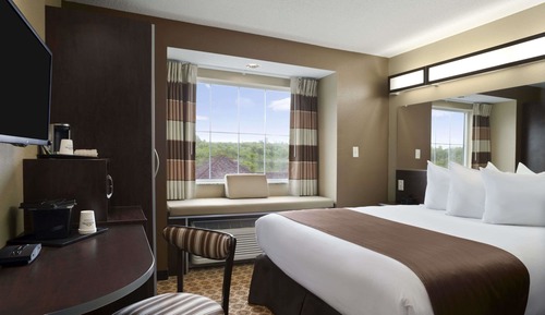 Room, 1 Queen Bed